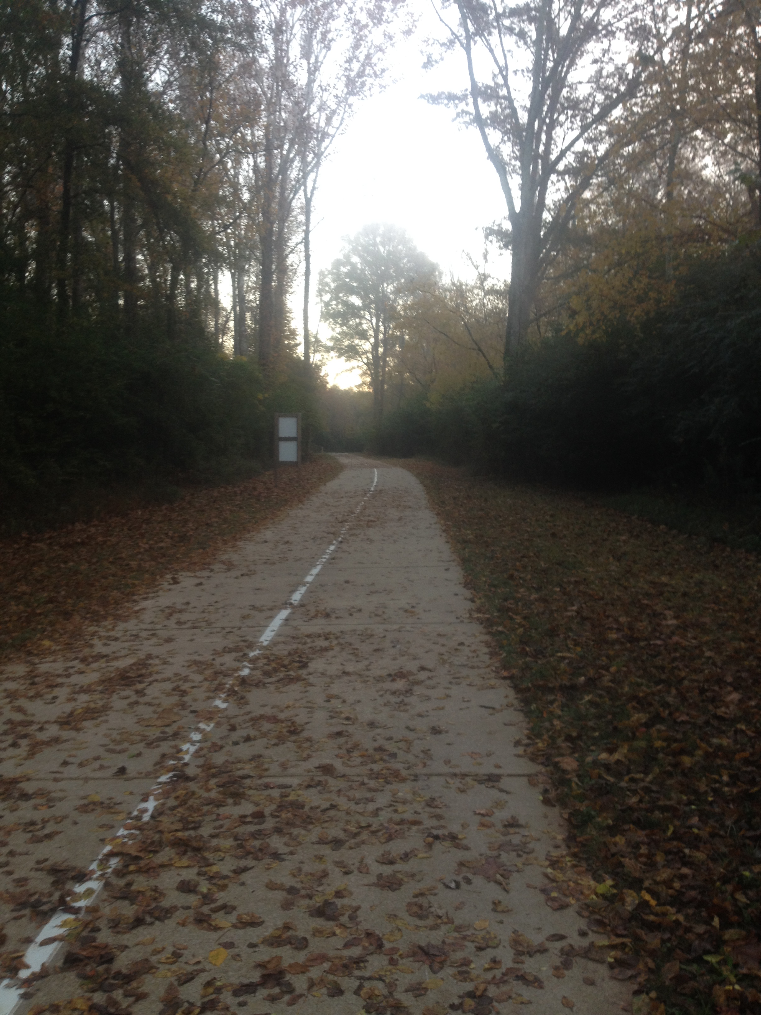 The Greenway this morning.