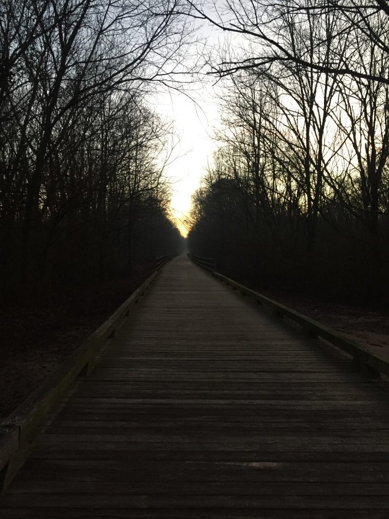 Greenway boardwalk at sunrise.